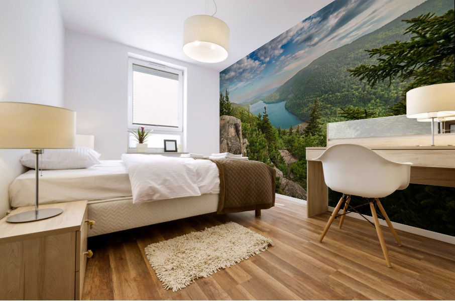 Vista Acadia Mural print