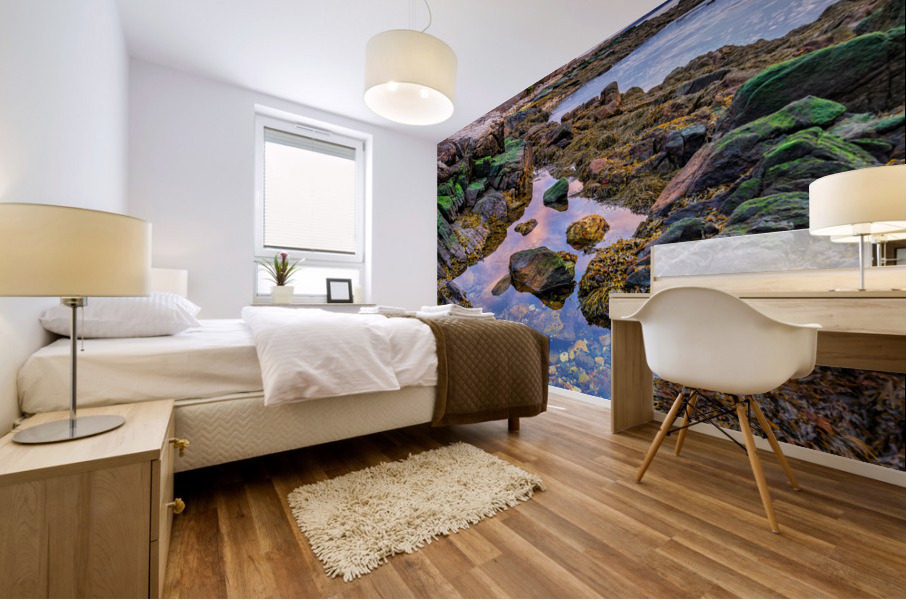 Tidal Serenity Mural print