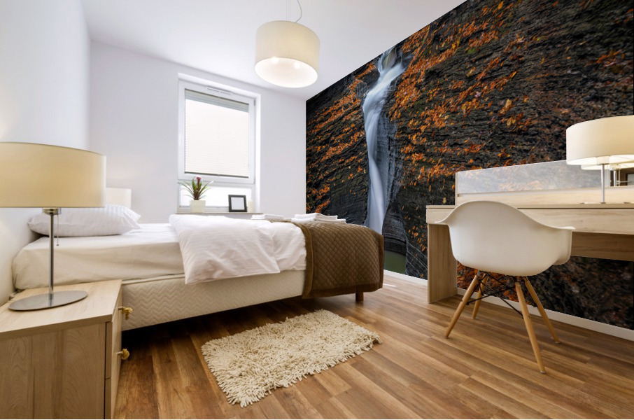 Pluto Falls and Spiral Gorge Mural print