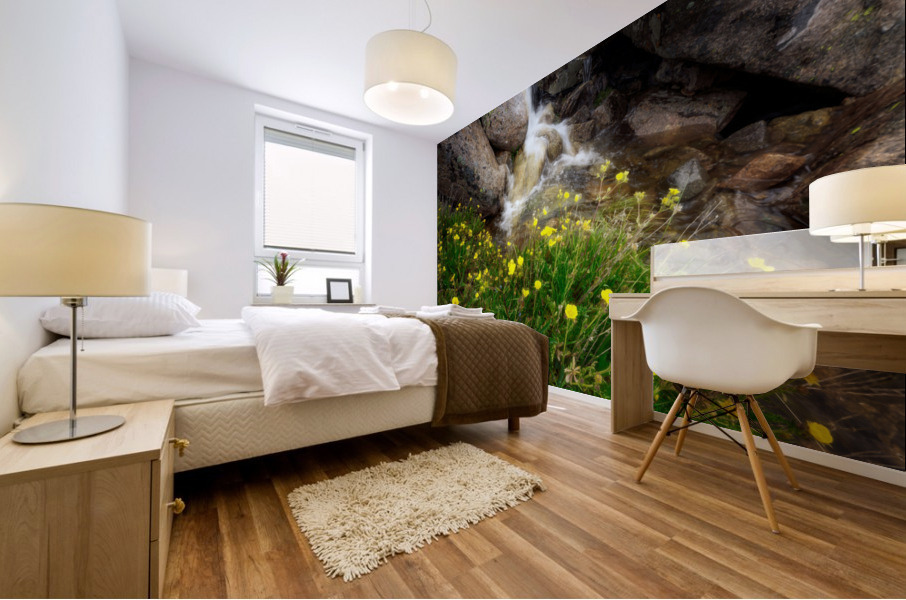 Alpine Cascade Mural print