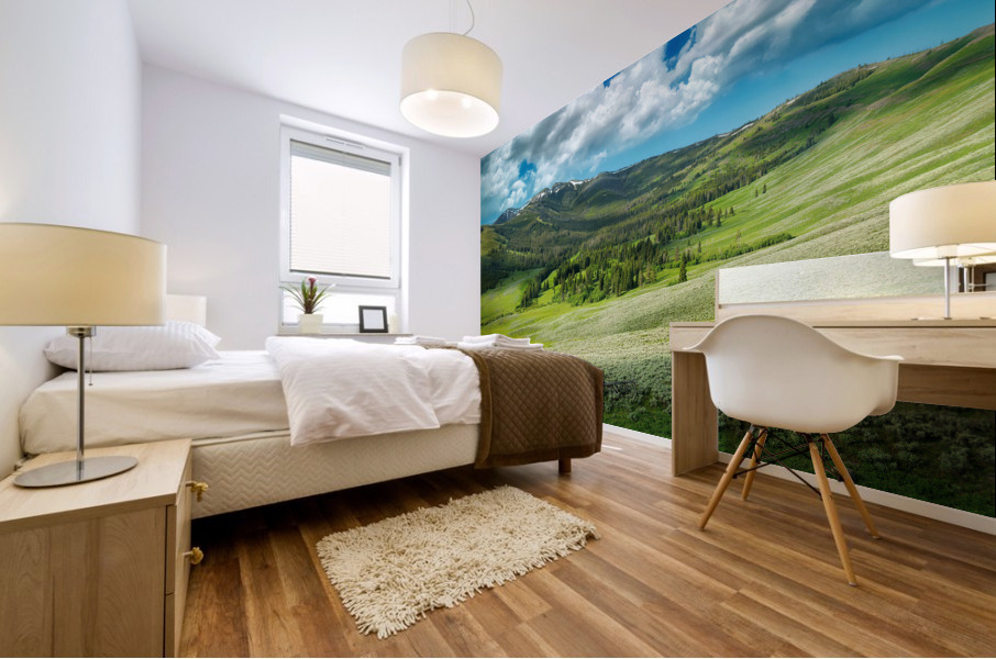 Mount Washburn Mural print