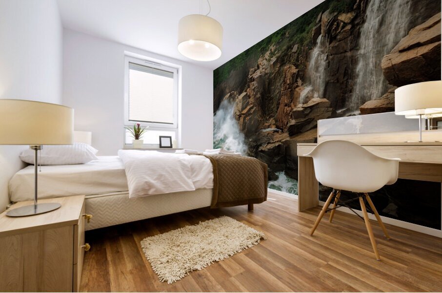 Acadia Fury Mural print