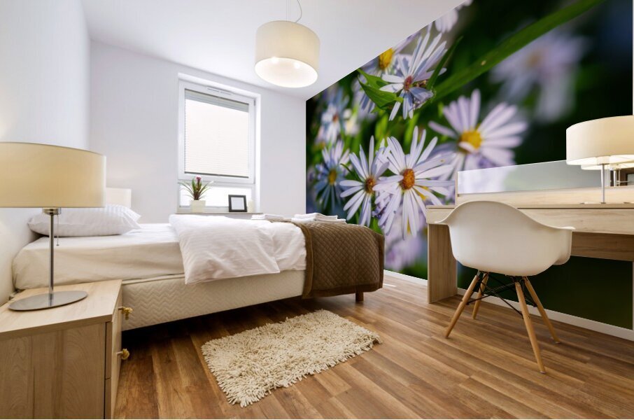 Smooth Aster Mural print