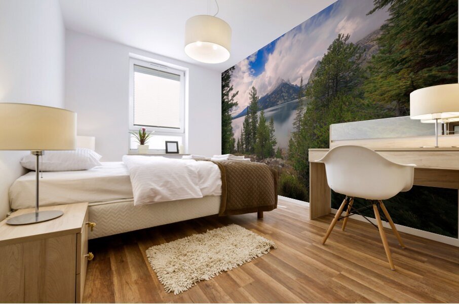 Jenny Lake Mural print