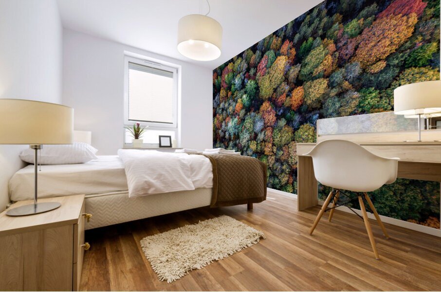 Autumn Canopy Mural print