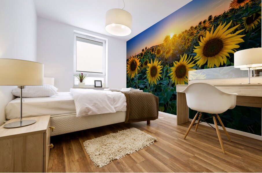 Aroostook Sunset Mural print