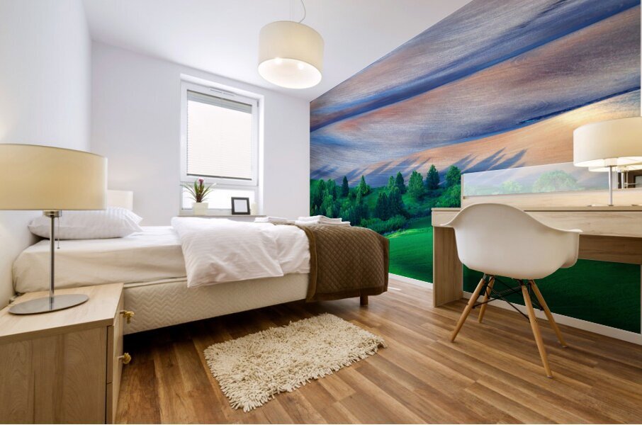 Palouse Shadows Mural print