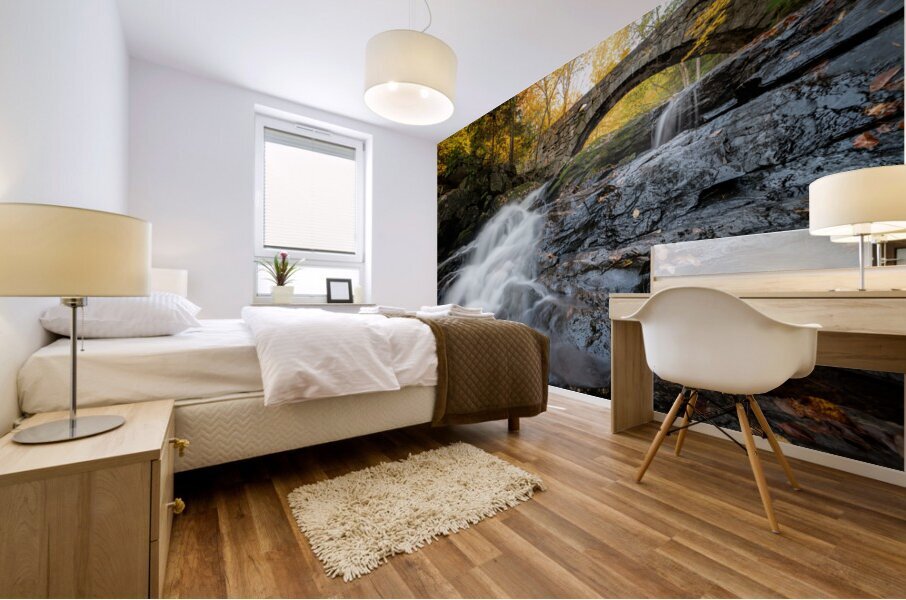 Vaughan Woods Mural print