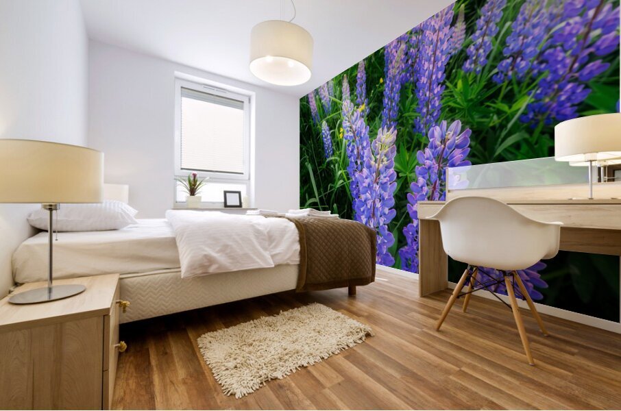 Lupines Mural print
