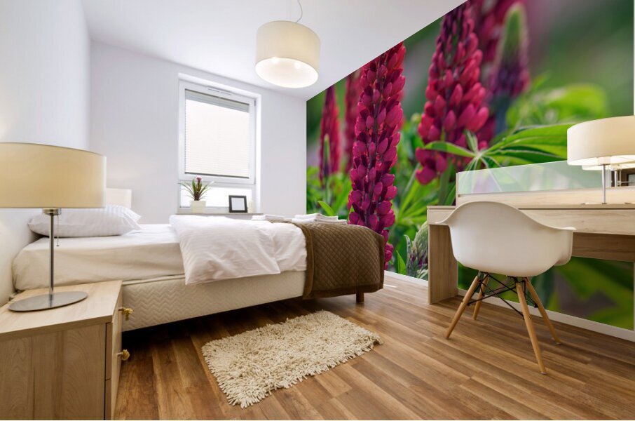 Gallery Red Lupines Mural print