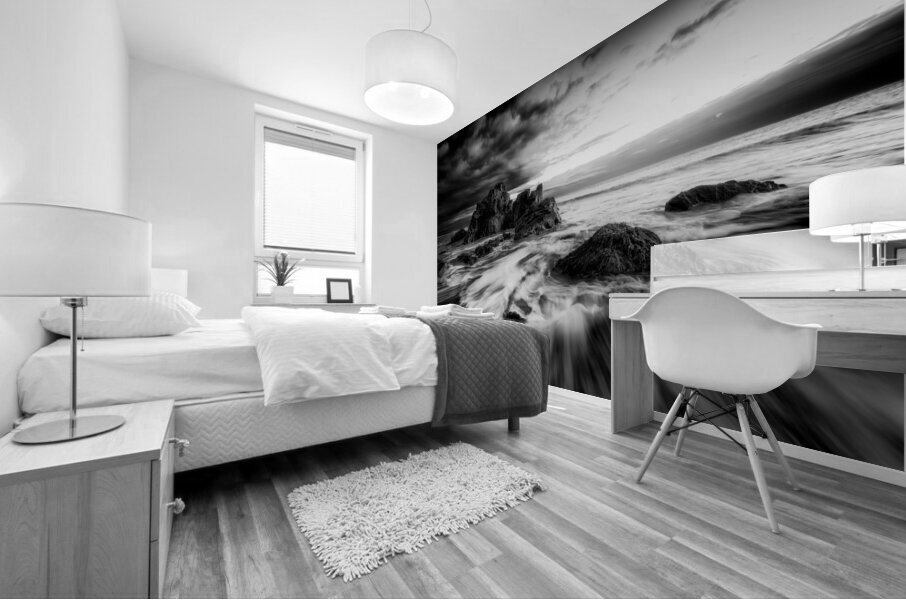 Sweeping Tides Black and White Mural print