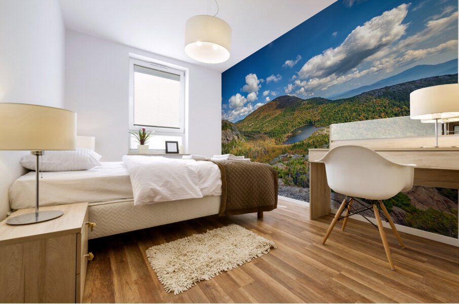 Tumbledown Mural print