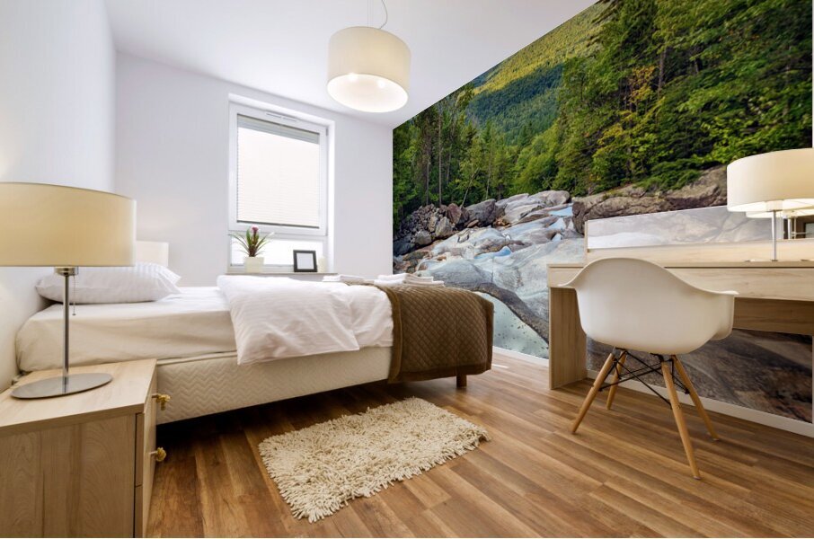 Lookout from Step Falls Mural print
