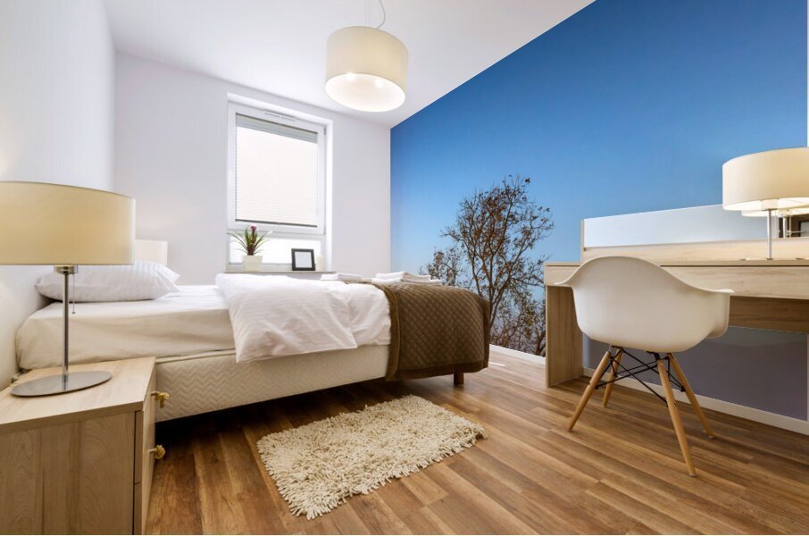 Autumn Glow Mural print