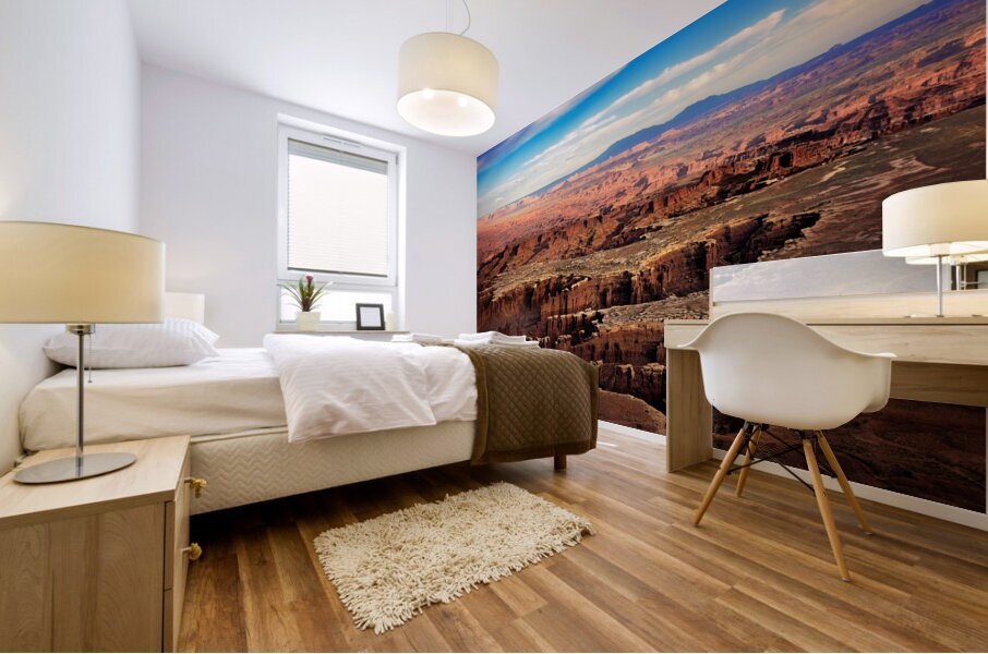 Canyonlands Mural print