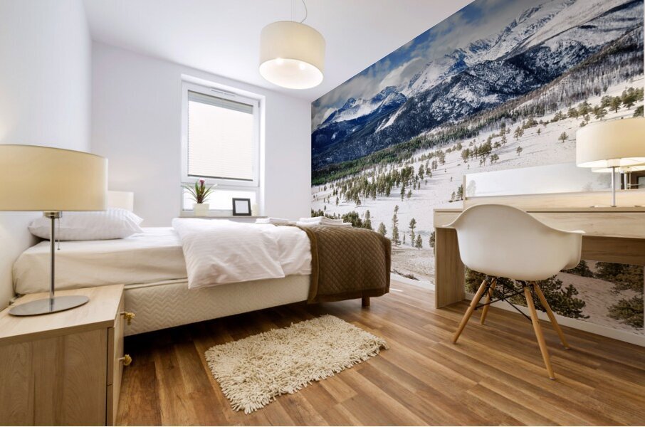 Rocky Mountain High Mural print