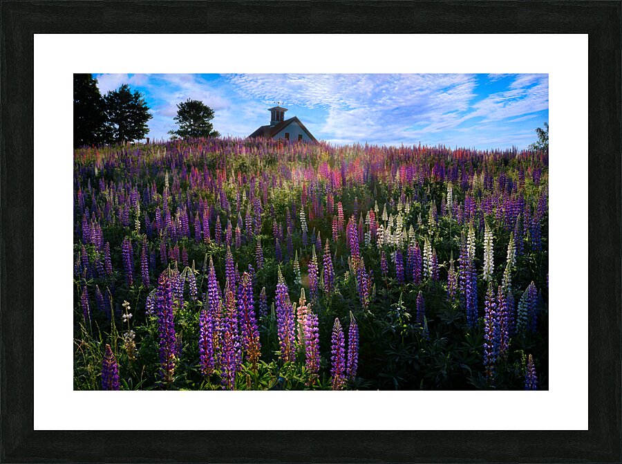 Spring Colors Picture Frame print