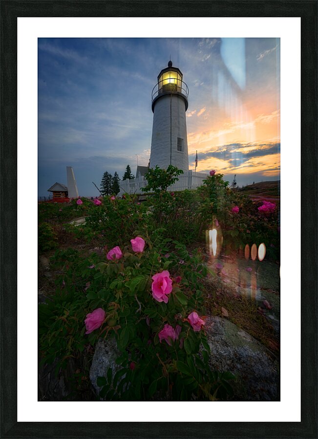 Twilight Bloom Picture Frame print