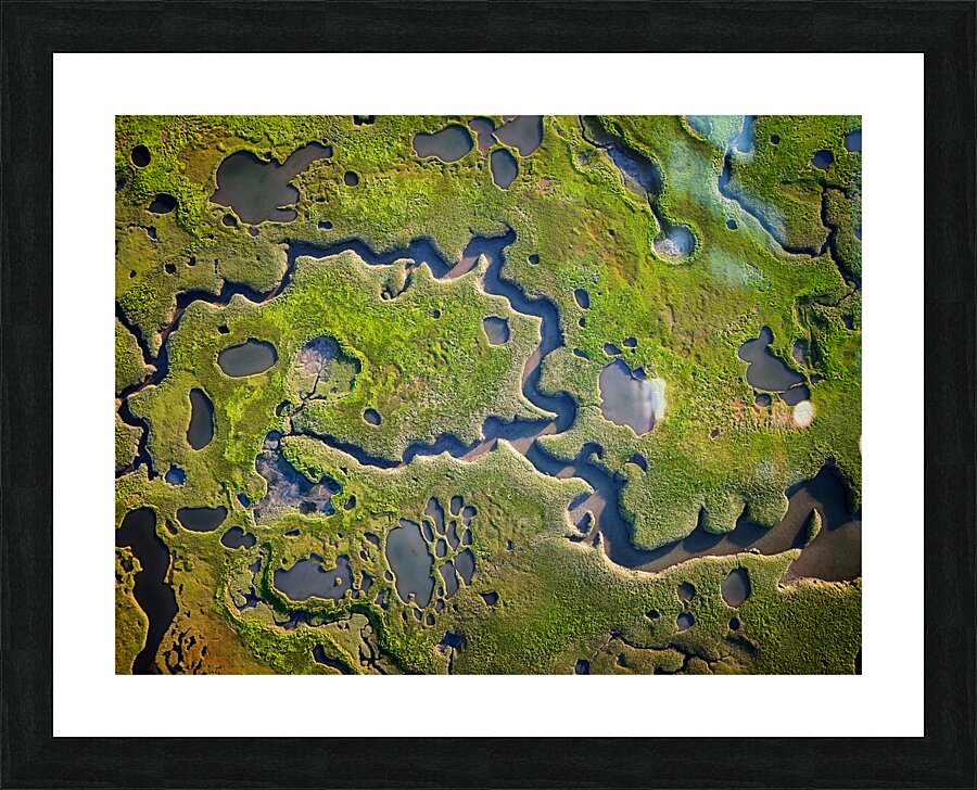 Salt Marsh Abstract Picture Frame print