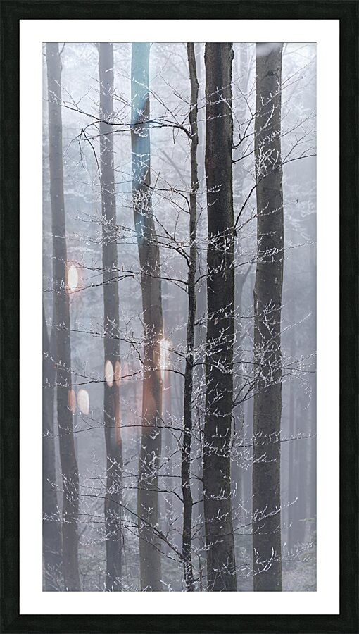 Frozen Fog Picture Frame print