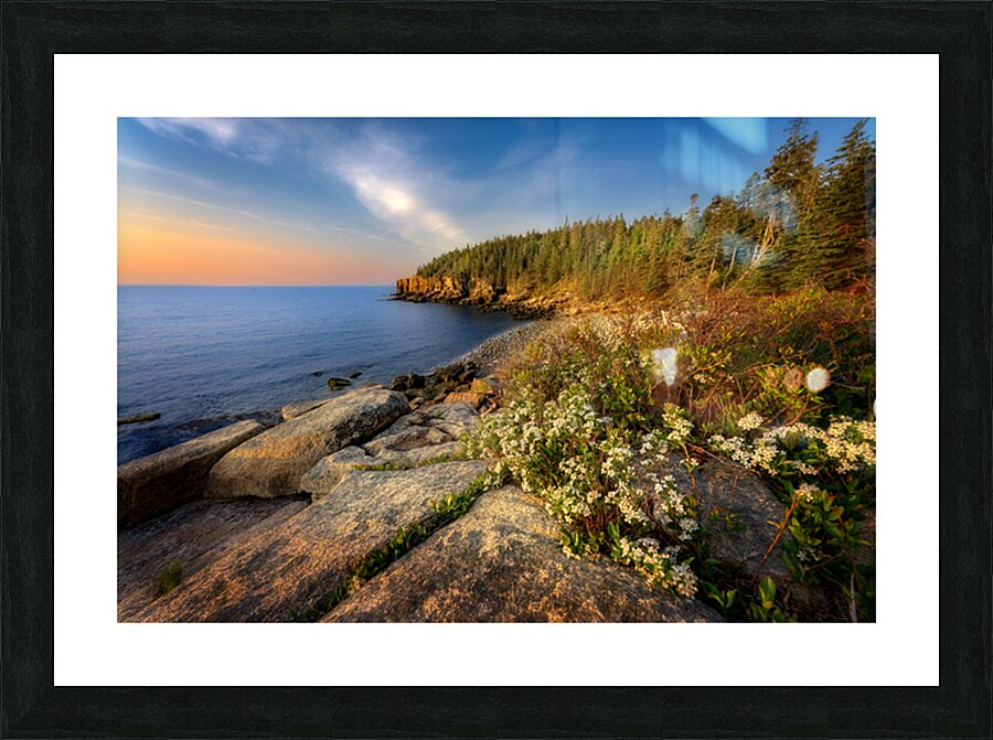 Springtime Acadia Picture Frame print
