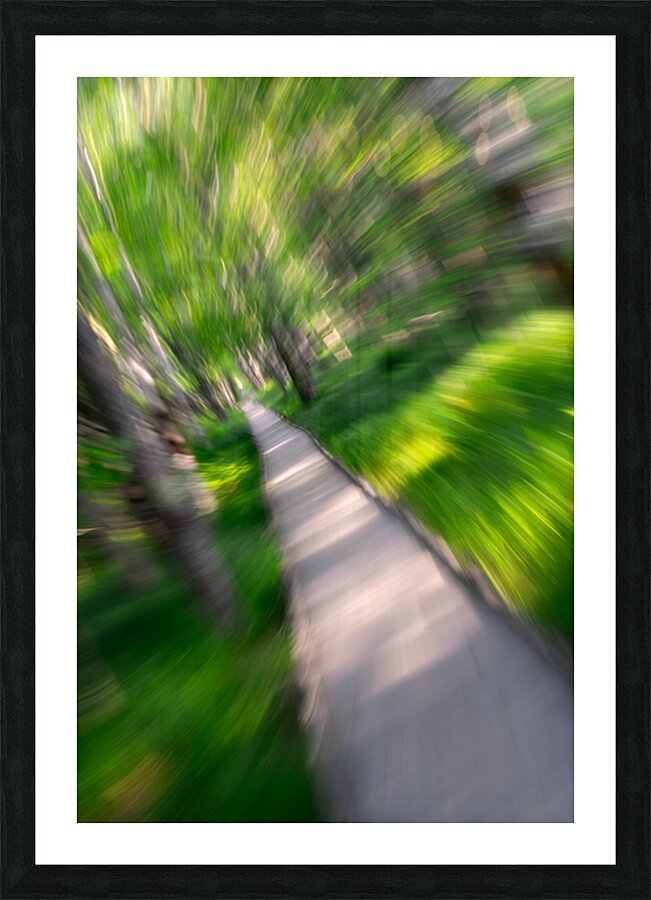 Into the Woods Picture Frame print