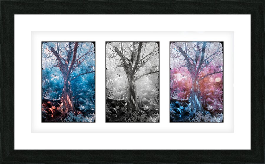 Infrared Maple Picture Frame print