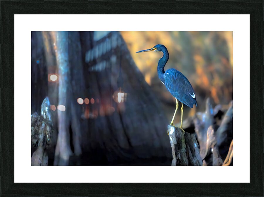 Feeling Blue Too Picture Frame print