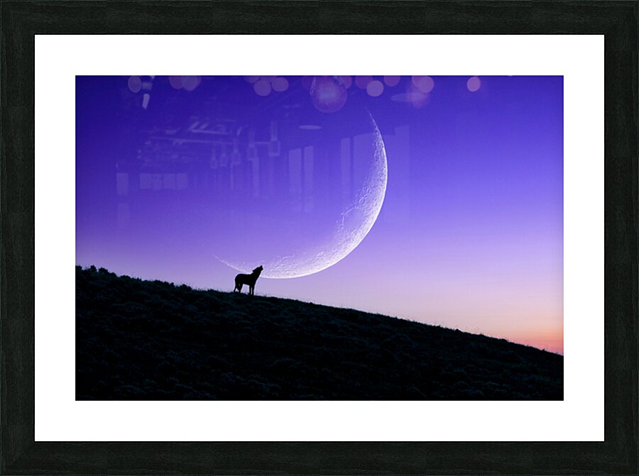 Calling The Dawn Picture Frame print