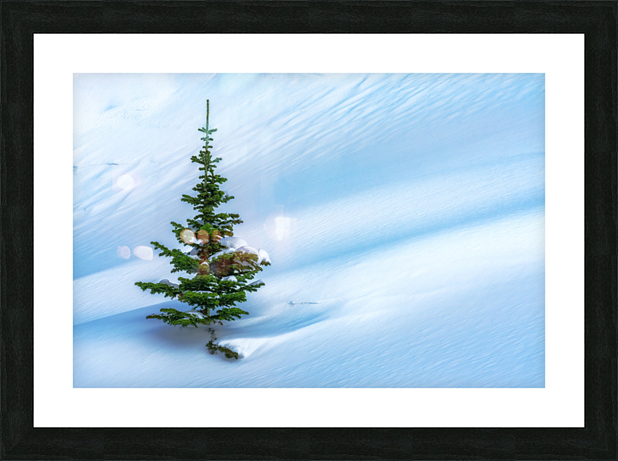Lone Pine Picture Frame print