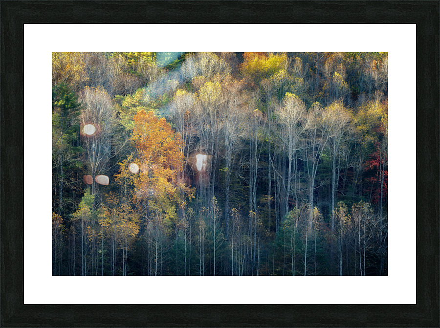 Stay Gold Picture Frame print