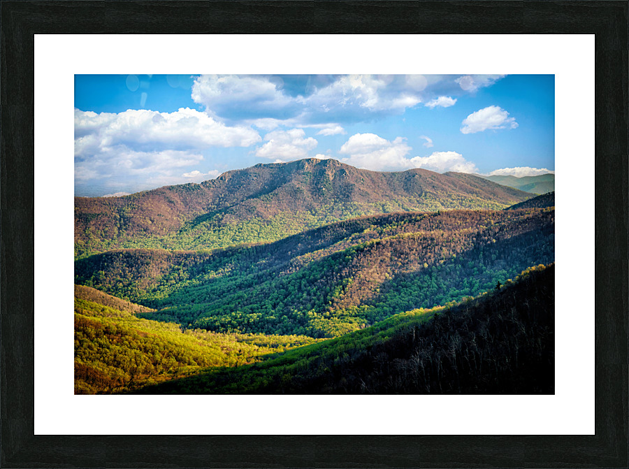 Old Rag II Picture Frame print