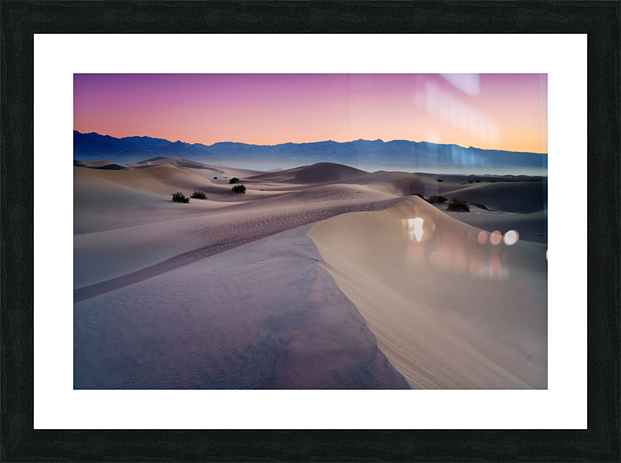 Into The Dunes Picture Frame print