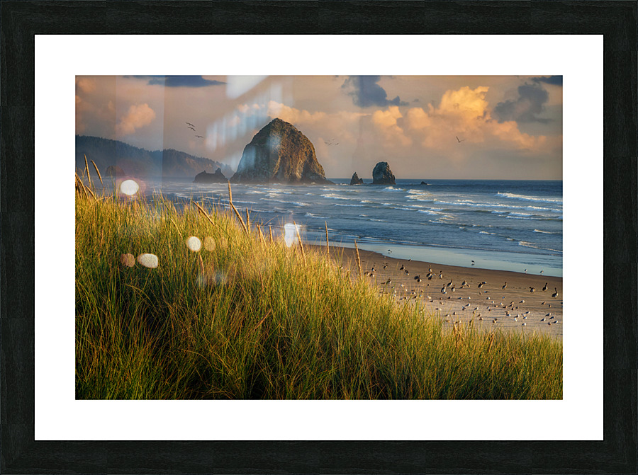 Summer Evening at Haystack Rock Picture Frame print