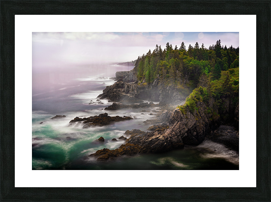 Cutler Coast Picture Frame print