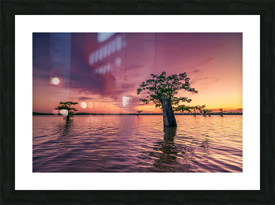 Atchafalaya Sunset Picture Frame print