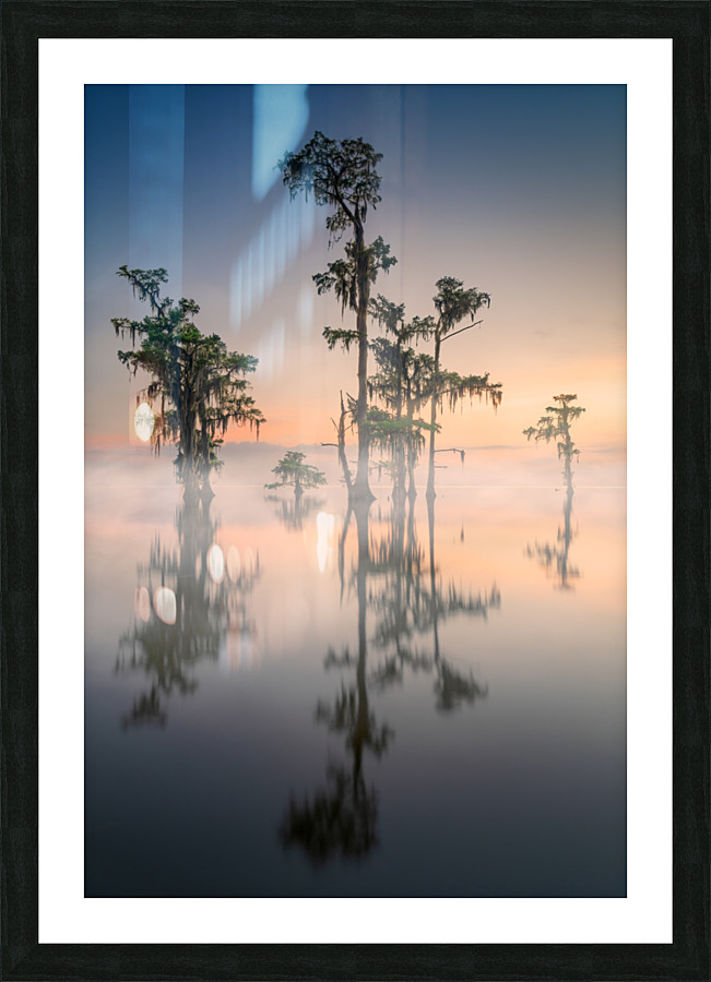 Cypress Whispers Picture Frame print