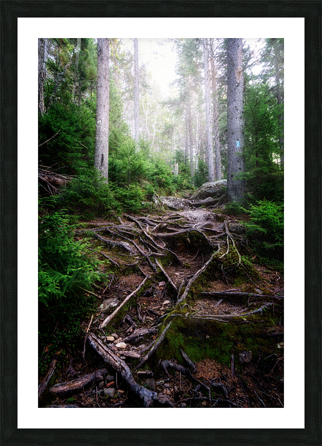 The Forest Gates Picture Frame print