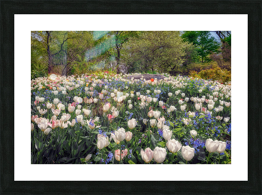 Pleasant Place Picture Frame print