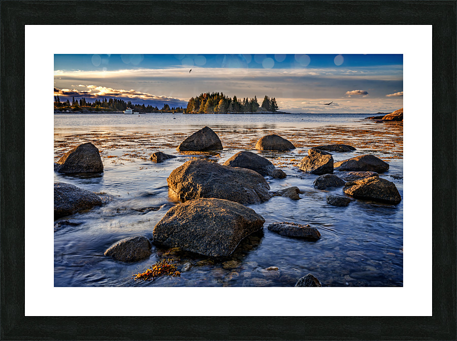 Smith Point Vinalhaven Picture Frame print