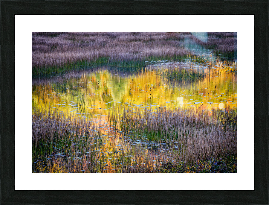 The Tarn Picture Frame print