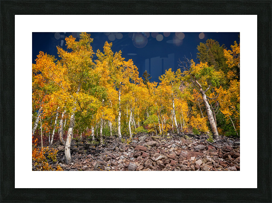 Blue & Gold Picture Frame print