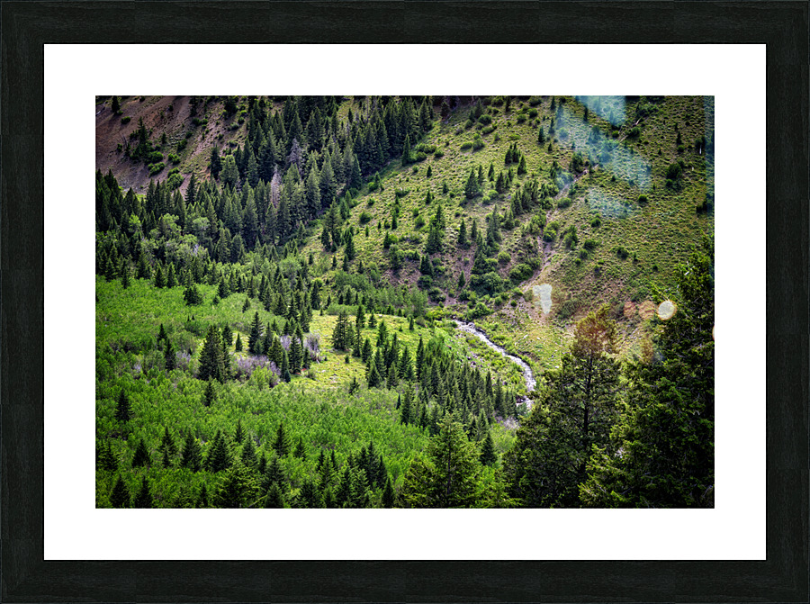 Sun Valley Picture Frame print