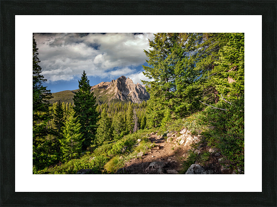 Grand Mogul Picture Frame print