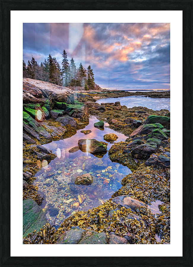 Tidal Serenity Picture Frame print