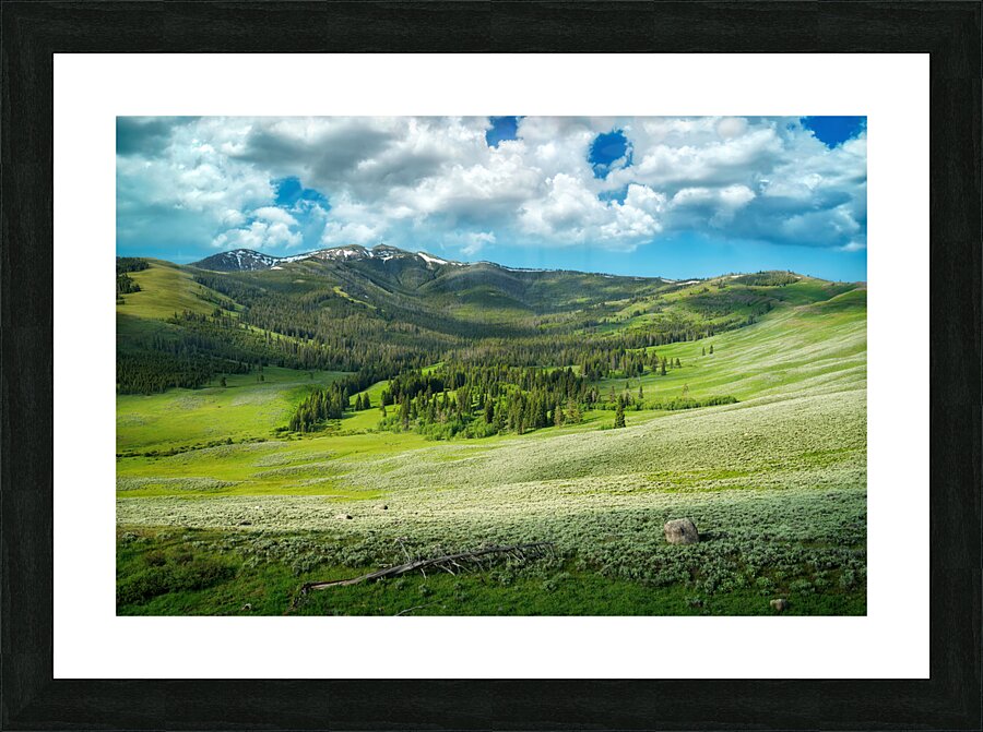 Mount Washburn Picture Frame print