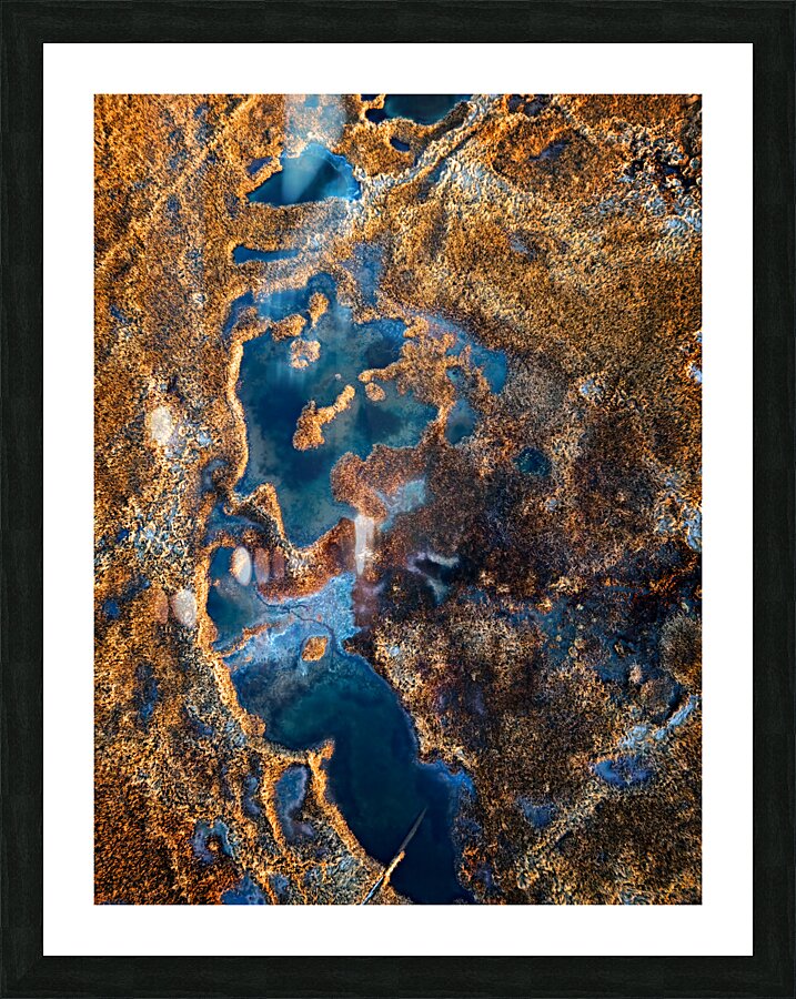 Above the Marsh Picture Frame print
