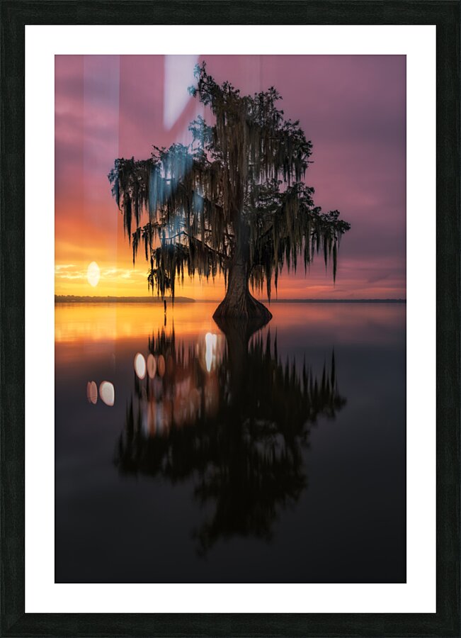 Bayou Dawn Picture Frame print