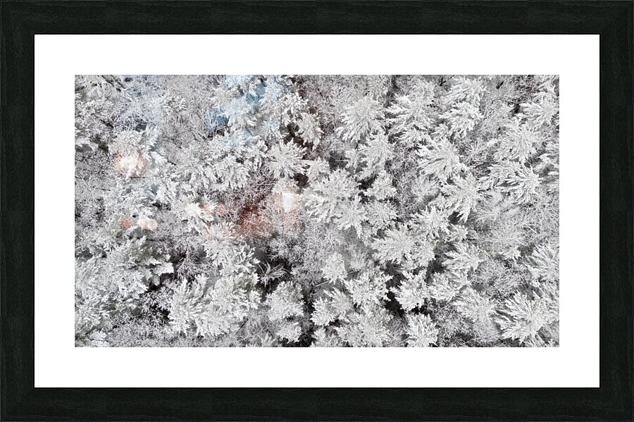 First Snow Picture Frame print