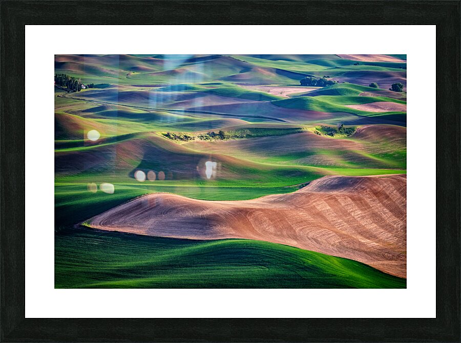 Undulation Picture Frame print